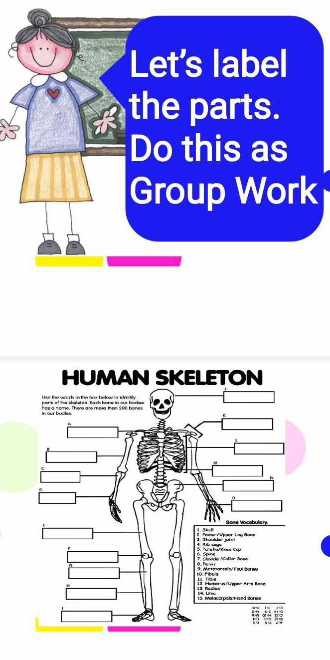 Let's label 
the parts. 
Do this as 
Group Work