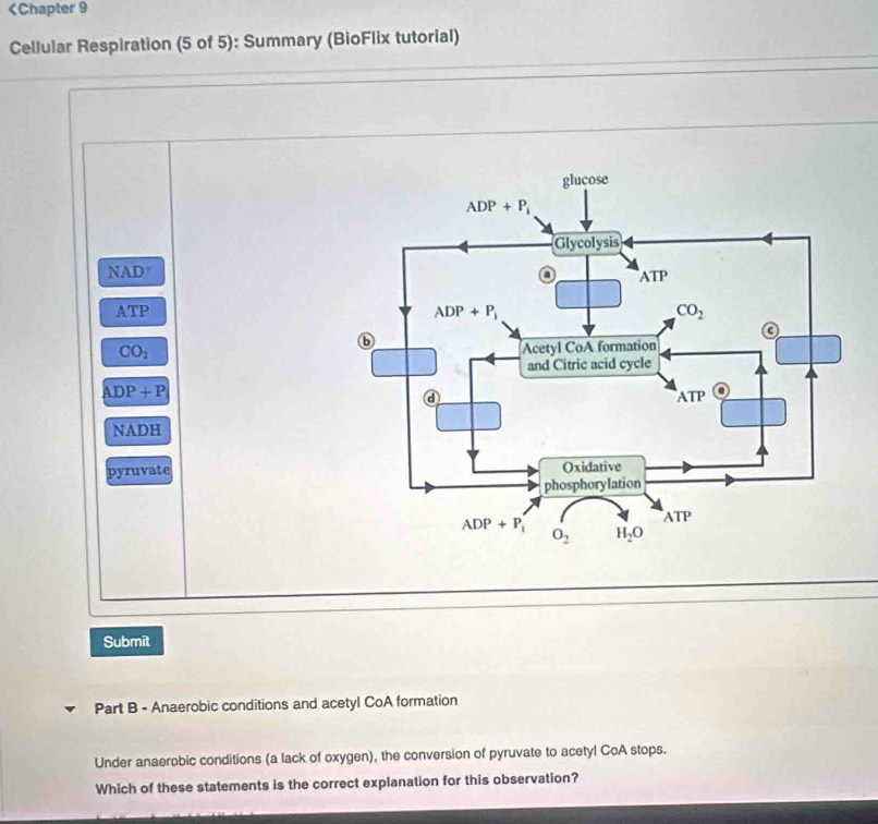 NAD
ATP
CO_2
ADP+P
NADH
pyruvate
Submit
Part B - Anaerobic conditions and acetyl CoA formation
Under anaerobic conditions (a lack of oxygen), the conversion of pyruvate to acetyl CoA stops.
Which of these statements is the correct explanation for this observation?