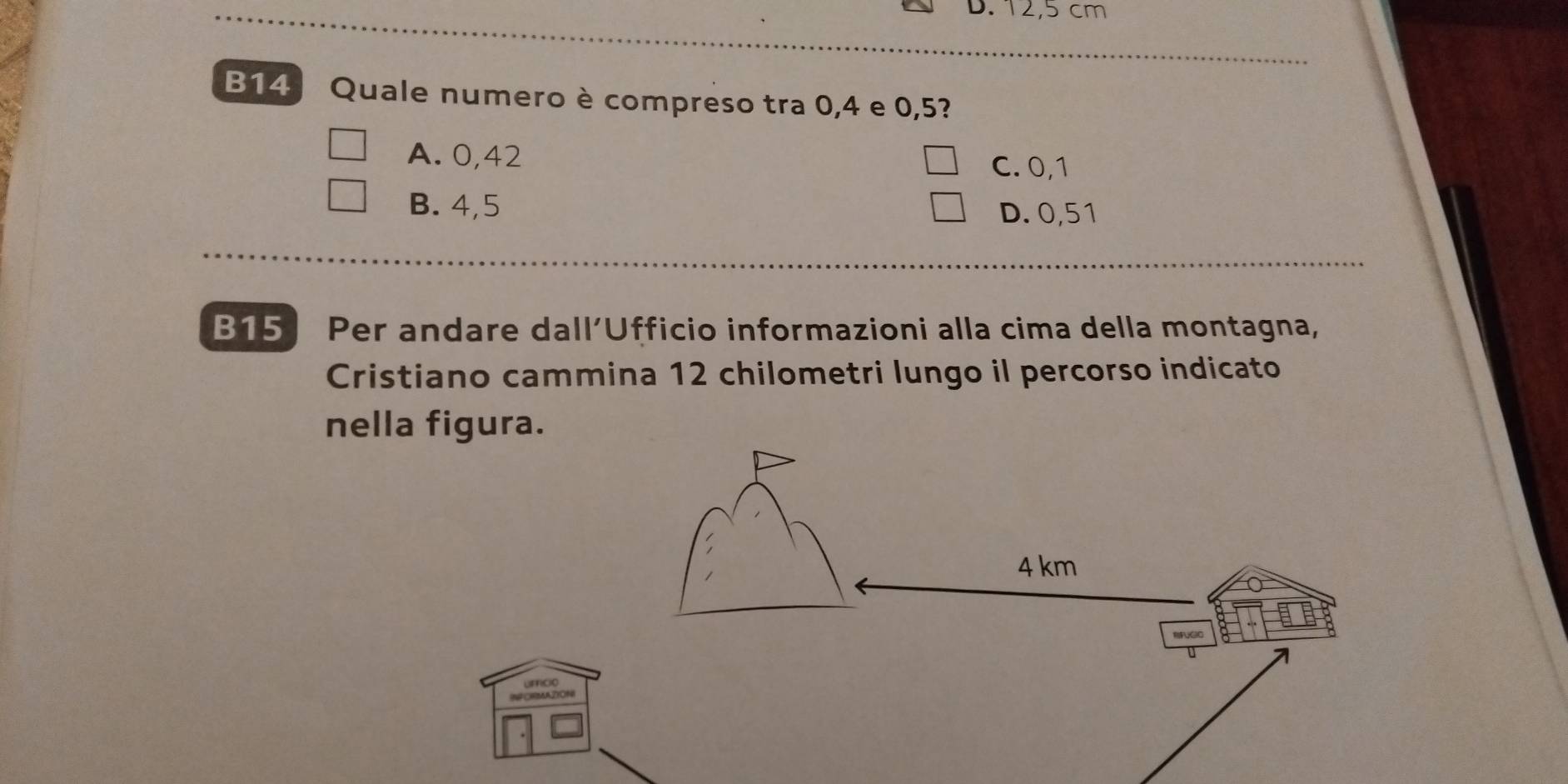 12,5 cm
B14 Quale numero è compreso tra 0, 4 e 0,5?
A. 0,42
C. 0,1
B. 4,5
D. 0,51
B15 Per andare dall’Ufficio informazioni alla cima della montagna,
Cristiano cammina 12 chilometri lungo il percorso indicato
nella figura.
PAR ZION