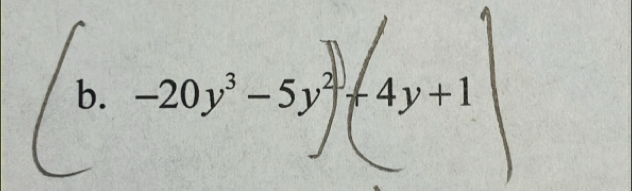 −20y³− 5y² +4y+1