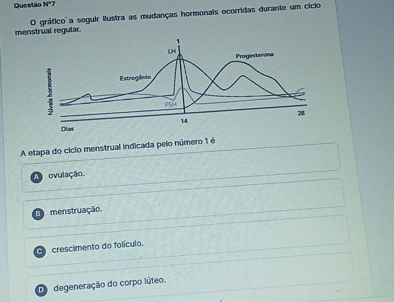 Questão N°7 
O gráfico a seguir ilustra as mudanças hormonais ocorridas durante um cicilo
menstrual regular.
A etapa do ciclo menstrual indicada pelo número 1 é
A ovulação.
3 menstruação.
crescimento do folículo.
degeneração do corpo lúteo.