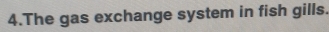 The gas exchange system in fish gills.