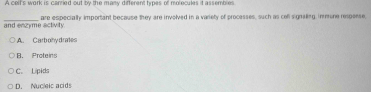 A cell's work is carried out by the many different types of molecules it assembles.
_are especially important because they are involved in a variety of processes, such as cell signaling, immune response,
and enzyme activity.
A. Carbohydrates
B. Proteins
C. Lipids
D. Nucleic acids