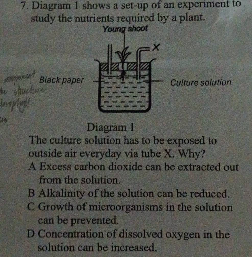 Diagram 1 shows a set-up of an experiment to
study the nutrients required by a plant.
Black pap
Diagram 1
The culture solution has to be exposed to
outside air everyday via tube X. Why?
A Excess carbon dioxide can be extracted out
from the solution.
B Alkalinity of the solution can be reduced.
C Growth of microorganisms in the solution
can be prevented.
D Concentration of dissolved oxygen in the
solution can be increased.