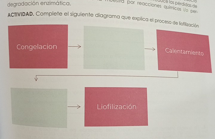 degradación enzimática. 
Juuce las pérdidas de 
lestra por reacciones químicas i/o per- 
ACTIVIDAD. Complete el siguiente diagrama que explica el pro 
Liofilización