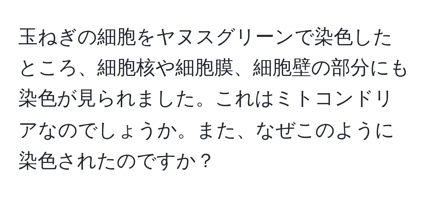 玉ねぎの細胞をヤヌスグリーンで染色したところ、細胞核や細胞膜、細胞壁の部分にも染色が見られました。これはミトコンドリアなのでしょうか。また、なぜこのように染色されたのですか？