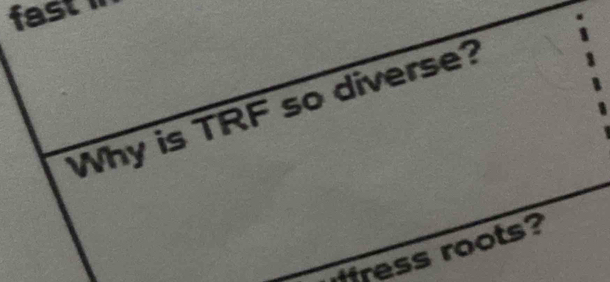 fast 
Why is TRF so diverse? 
fress roots?