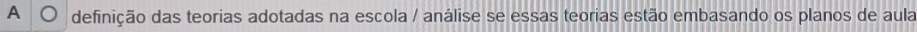 definição das teorias adotadas na escola / análise se essas teorias estão embasando os planos de aula