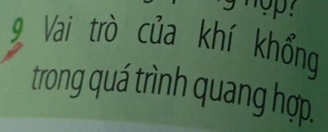 Vai trò của khí khổng 
trong quá trình quang hợp.