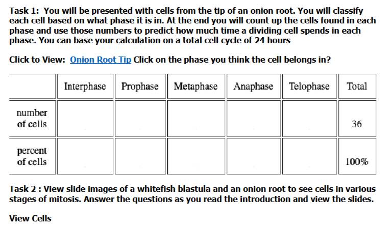 Task 1: You will be presented with cells from the tip of an onion root. You will classify 
each cell based on what phase it is in. At the end you will count up the cells found in each 
phase and use those numbers to predict how much time a dividing cell spends in each 
phase. You can base your calculation on a total cell cycle of 24 hours
Click to View: Onion Root Tip Click on the phase you think the cell belongs in? 
Task 2 : View slide images of a whitefish blastula and an onion root to see cells in various 
stages of mitosis. Answer the questions as you read the introduction and view the slides. 
View Cells