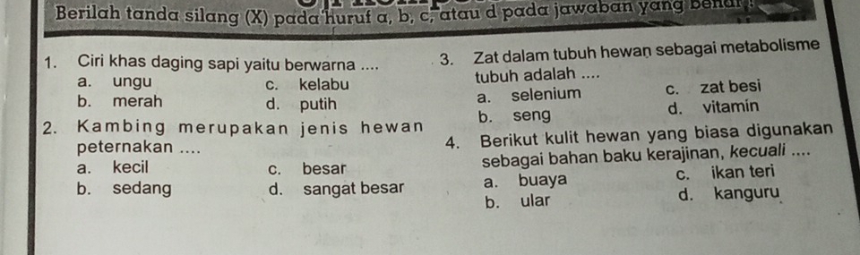 Berilah tanda silang (X) pada huruf a, b, c, atau d pada jawaban yang benar
1. Ciri khas daging sapi yaitu berwarna ....
3. Zat dalam tubuh hewan sebagai metabolisme
a. ungu c. kelabu tubuh adalah ....
b. merah d. putih
a. selenium c. zat besi
2. Kambing merupakan jenis hewan b. seng d. vitamín
peternakan .... 4. Berikut kulit hewan yang biasa digunakan
a. kecil c. besar sebagai bahan baku kerajinan, kecuali ....
b. sedang d. sangat besar a. buaya c. ikan teri
b. ular d. kanguru