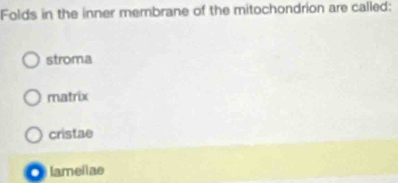 Folds in the inner membrane of the mitochondrion are called:
stroma
matrix
cristae. lameilae