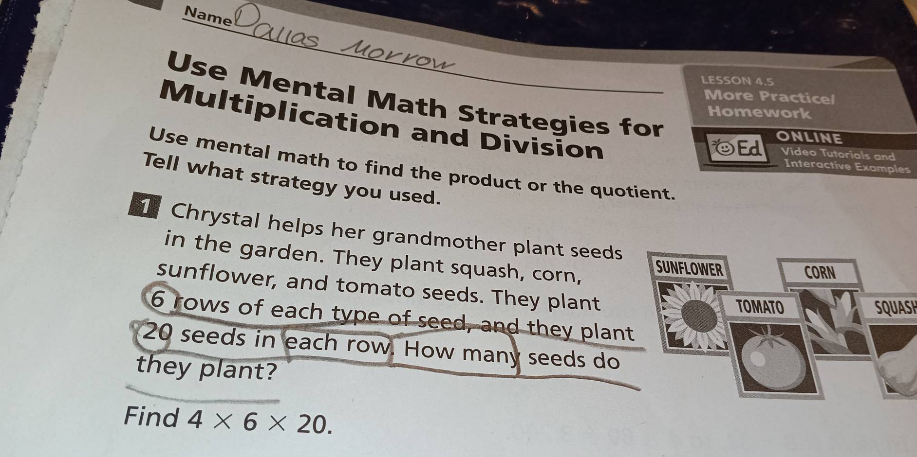 Name 
LESSON 4.5 
More Practice/ 
Use Mental Math Strategies for 
Homework 
Multiplication and Division 
Ed ONLINE 
Video Tutorials and 
Use mental math to find the product or the quotient. 
Interactive Examples 
Tell what strategy you used. 
Chrystal helps her grandmother plant seeds 
in the garden. They plant squash, corn, 
sunflower, and tomato seeds. They plant 
SQUASH
6 rows of each type of seed, and they plant
20 seeds in each row. How many seeds do 
they plant? 
Find 4* 6* 20.