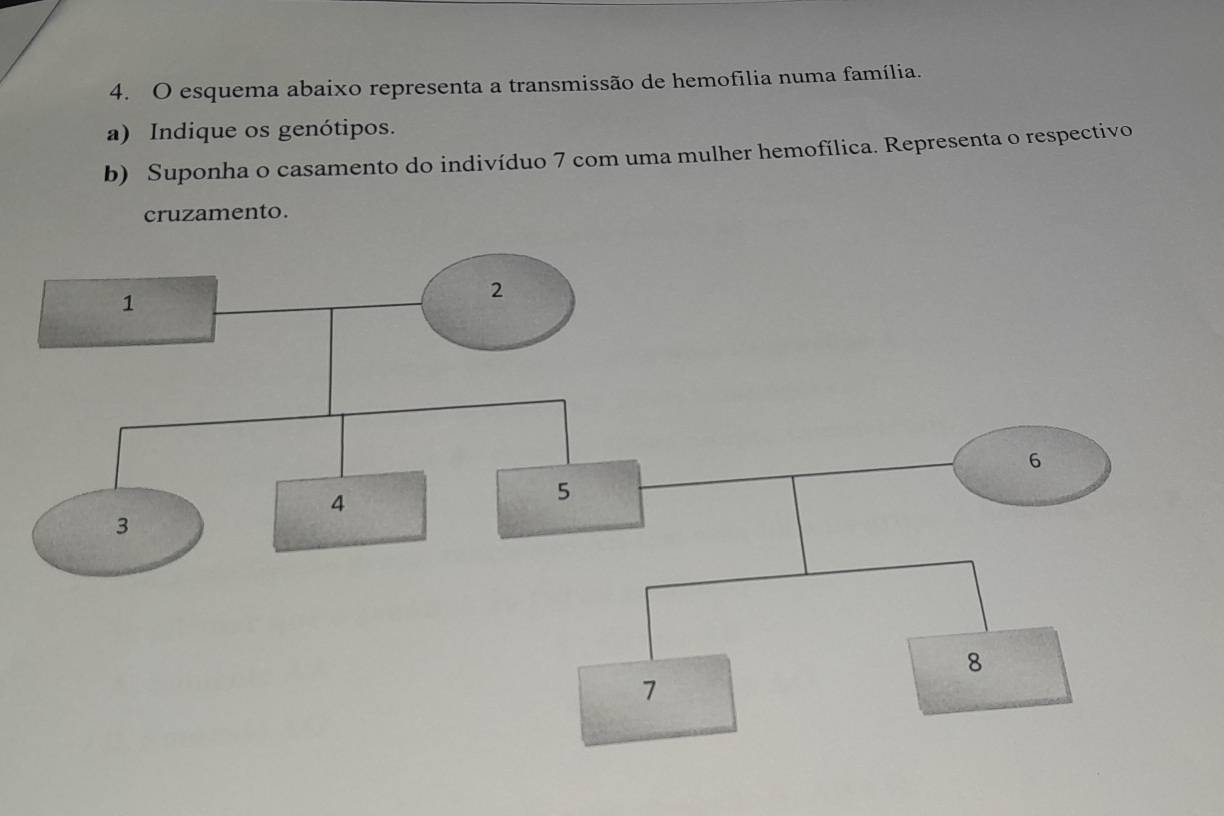 esquema abaixo representa a transmissão de hemofília numa família. 
a) Indique os genótipos. 
b) Suponha o casamento do indivíduo 7 com uma mulher hemofílica. Representa o respectivo 
cruzamento.