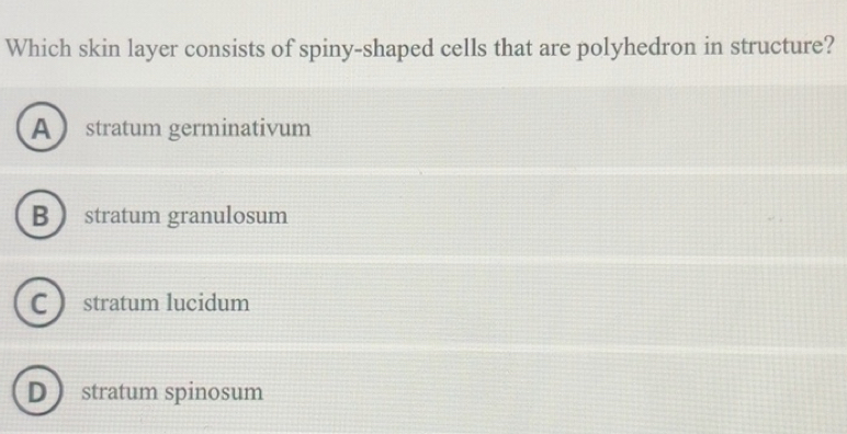 Solved: Which skin layer consists of spiny-shaped cells that are ...