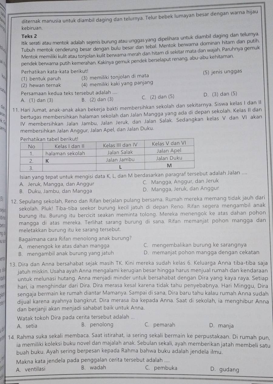 diternak manusia untuk diambil daging dan telurnya. Telur bebek lumayan besar dengan warna hijau
kebiruan.
Teks 2
Itik serati atau mentok adalah sejenis burung atau unggas yang dipelihara untuk diambil daging dan telurnya.
Tubuh mentok cenderung besar dengan bulu besar dan tebal. Mentok berwarna dominan hitam dan putih,
Mentok memiliki kulit atau tonjolan kulit berwarna merah dan hitam di sekitar mata dan wajah. Paruhnya gemuk
lai y pendek berwarna putih kemerahan. Kakinya gemuk pendek berselaput renang, abu-abu kehitaman.
Perhatikan kata-kata berikut!
(1) bentuk paruh (3) memiliki tonjolan di mata (5) jenis unggas
(2) hewan ternak (4) memiliki kaki yang panjang
sata
Persamaan kedua teks tersebut adalah ....
A. (1) dan (3) B. (2) dan (3) C. (2) dan (5) D. (3) dan (5)
da 11. Hari Jumat, anak-anak akan bekerja bakti membersihkan sekolah dan sekitarnya. Siswa kelas I dan II
aram
bertugas membersihkan halaman sekolah dan Jalan Mangga yang ada di depan sekolah. Kelas II dan
k c
IV membersihkan Jalan Jambu, Jalan Jeruk, dan Jalan Salak. Sedangkan kelas V dan VI akan
sem
membersihkan Jalan Anggur, Jalan Apel, dan Jalan Duku.
Isian yang tepat untuk mengisi data K, L, dan M berdasarkan paragraf tersebut adalah Jalan ....
A. Jeruk, Mangga, dan Anggur C. Mangga, Anggur, dan Jeruk
B. Duku, Jambu, dan Mangga D. Mangga, Jeruk, dan Anggur
12. Sepulang sekolah, Reno dan Rifan berjalan pulang bersama. Rumah mereka memang tidak jauh dari
seja sekolah. Pluk! Tiba-tiba seekor burung kecil jatuh di depan Reno. Rifan segera mengambil anak
bina burung itu. Burung itu bercicit seakan meminta tolong. Mereka menengok ke atas dahan pohon
betor mangga di atas mereka. Terlihat sarang burung di sana. Rifan memanjat pohon mangga dan
ng meletakkan burung itu ke sarang tersebut.
Su Si' Bagaimana cara Rifan menolong anak burung?
A. menengok ke atas dahan mangga C. mengembalikan burung ke sarangnya
B. mengambil anak burung yang jatuh D. memanjat pohon mangga dengan cekatan
enta
13. Dira dan Anna bersahabat sejak masih TK. Kini mereka sudah kelas 6. Keluarga Anna tiba-tiba saja
so jatuh miskin. Usaha ayah Anna mengalami kerugian besar hingga harus menjual rumah dan kendaraan
hat untuk melunasi hutang. Anna menjadi minder untuk bersahabat dengan Dira yang kaya raya. Setiap
mel hari, ia menghindar dari Dira. Dira merasa kesal karena tidak tahu penyebabnya. Hari Minggu, Dira
sengaja bermain ke rumah diantar Mamanya. Sampai di sana, Dira baru tahu kalau rumah Anna sudah
dijual karena ayahnya bangkrut. Dira merasa iba kepada Anna. Saat di sekolah, ia menghibur Anna
dan berjanji akan menjadi sahabat baik untuk Anna.
Watak tokoh Dira pada cerita tersebut adalah ...
A. setia B. penolong C. pemarah D. manja
a
14. Rahma suka sekali membaca. Saat istirahat, ia sering sekali bermain ke perpustakaan. Di rumah pun,
ia memiliki koleksi buku novel dan majalah anak. Sebulan sekali, ayah memberikan jatah membeli satu
buah buku. Ayah sering berpesan kepada Rahma bahwa buku adalah jendela ilmu.
Makna kata jendela pada penggalan cerita tersebut adalah ....
A. ventilasi B. wadah C. pembuka D. gudang