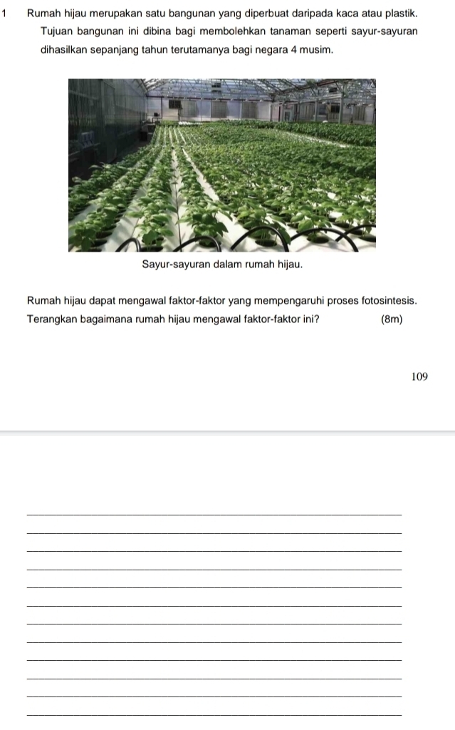 Rumah hijau merupakan satu bangunan yang diperbuat daripada kaca atau plastik. 
Tujuan bangunan ini dibina bagi membolehkan tanaman seperti sayur-sayuran 
dihasilkan sepanjang tahun terutamanya bagi negara 4 musim. 
Sayur-sayuran dalam rumah hijau. 
Rumah hijau dapat mengawal faktor-faktor yang mempengaruhi proses fotosintesis. 
Terangkan bagaimana rumah hijau mengawal faktor-faktor ini? (8m) 
109 
_ 
_ 
_ 
_ 
_ 
_ 
_ 
_ 
_ 
_ 
_ 
_