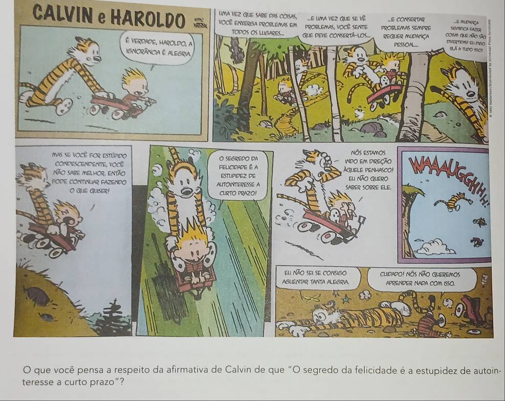 LMA VEZ QUE SABE DAS COISAS, E LMA VEZ QUE SE Về LE CONSERTAR 
CALVIN e HAROLDOo 
O que você pensa a respeito da afirmativa de Calvin de que "O segredo da felicidade é a estupidez de autoin- 
teresse a curto prazo”?