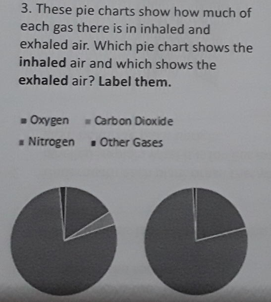 These pie charts show how much of 
each gas there is in inhaled and 
exhaled air. Which pie chart shows the 
inhaled air and which shows the 
exhaled air? Label them.
Oxygen = Carbon Dioxide
Nitrogen Other Gases