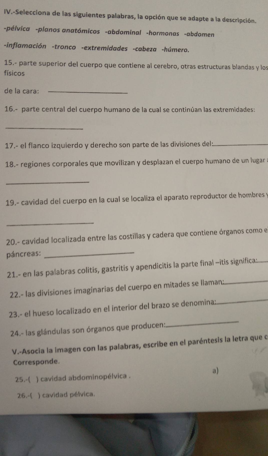 IV.-Selecciona de las siguientes palabras, la opción que se adapte a la descripción. 
-pélvica -planos anatómicos -abdominal -hormonas -abdomen 
-inflamación -tronco -extremidades -cabeza -húmero. 
15.- parte superior del cuerpo que contiene al cerebro, otras estructuras blandas y los 
físicos 
de la cara:_ 
16.- parte central del cuerpo humano de la cual se continúan las extremidades: 
_ 
17.- el flanco izquierdo y derecho son parte de las divisiones del_ 
18.- regiones corporales que movilizan y desplazan el cuerpo humano de un lugar a 
_ 
19.- cavidad del cuerpo en la cual se localiza el aparato reproductor de hombres y 
_ 
20.- cavidad localizada entre las costillas y cadera que contiene órganos como el 
páncreas:_ 
21.- en las palabras colitis, gastritis y apendicitis la parte final —itis significa:_ 
22.- las divisiones imaginarias del cuerpo en mitades se llaman: 
_ 
23.- el hueso localizado en el interior del brazo se denomina: 
_ 
24.- las glándulas son órganos que producen: 
_ 
V.-Asocia la imagen con las palabras, escribe en el paréntesis la letra que o 
Corresponde. 
a) 
25.-( ) cavidad abdominopélvica . 
26.-( ) cavidad pélvica.