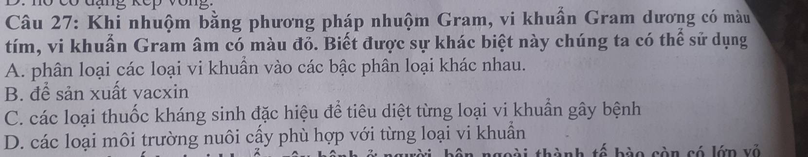 nó có đạng kếp vông.
Câu 27: Khi nhuộm bằng phương pháp nhuộm Gram, vi khuẩn Gram dương có màu
tím, vi khuẩn Gram âm có màu đỏ. Biết được sự khác biệt này chúng ta có thể sử dụng
A. phân loại các loại vi khuẩn vào các bậc phân loại khác nhau.
B. để sản xuất vacxin
C. các loại thuốc kháng sinh đặc hiệu để tiêu diệt từng loại vi khuẩn gây bệnh
D. các loại môi trường nuôi cấy phù hợp với từng loại vi khuẩn
tài bên ngoài thành tế bào còn só lớn về