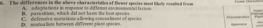 The differences in the above characteristics of flower species most likely resulted from
A. adaptations in response to different environmental factors.
B. parasitism, which did not harm the host species.
C. defensive mutations allowing concealment of species. Charsctoristics Plar
D. mutualism between different plant species. hppearston