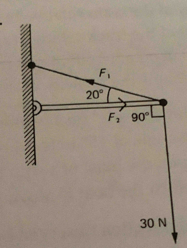 F_1
20°
F_2 90°
30 N