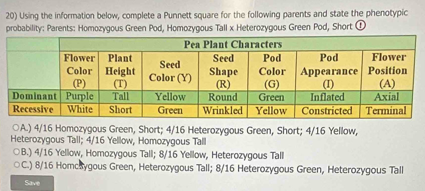 Using the information below, complete a Punnett square for the following parents and state the phenotypic
probability: Parents: Homozygous Green Pod, Homozygous Tall x Heterozygous Green Pod, Short ①
○A.) 4/16 Homozygous Green, Short; 4/16 Heterozygous Green, Short; 4/16 Yellow,
Heterozygous Tall; 4/16 Yellow, Homozygous Tall
B.) 4/16 Yellow, Homozygous Tall; 8/16 Yellow, Heterozygous Tall
C.) 8/16 Homcaygous Green, Heterozygous Tall; 8/16 Heterozygous Green, Heterozygous Tall
Save