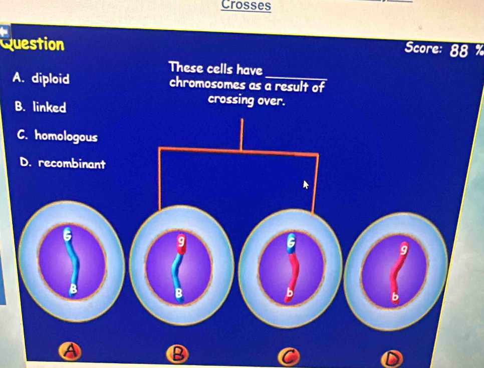 Crosses 
Question 
Score: 88 % 
A 
a 
B