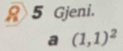 A 5 Gjeni. 
a (1,1)^2