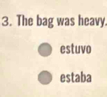 The bag was heavy. 
estuvo 
estaba