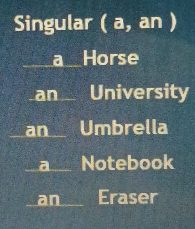 Singular (a,an)
a Horse
an University
an Umbrella
a Notebook
an Eraser