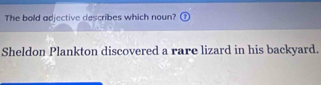 The bold adjective describes which noun? 
Sheldon Plankton discovered a rare lizard in his backyard.