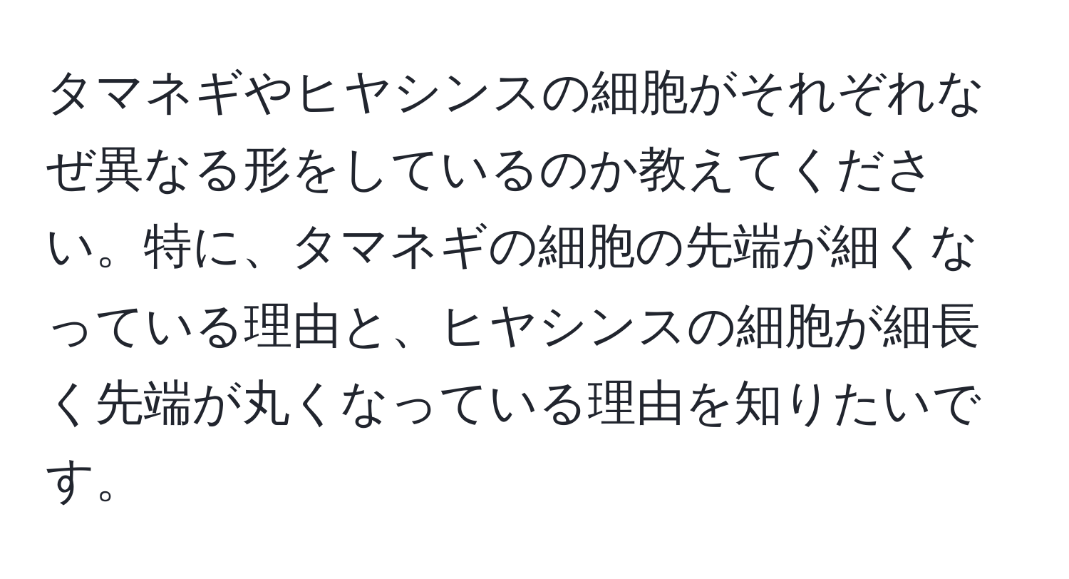 タマネギやヒヤシンスの細胞がそれぞれなぜ異なる形をしているのか教えてください。特に、タマネギの細胞の先端が細くなっている理由と、ヒヤシンスの細胞が細長く先端が丸くなっている理由を知りたいです。