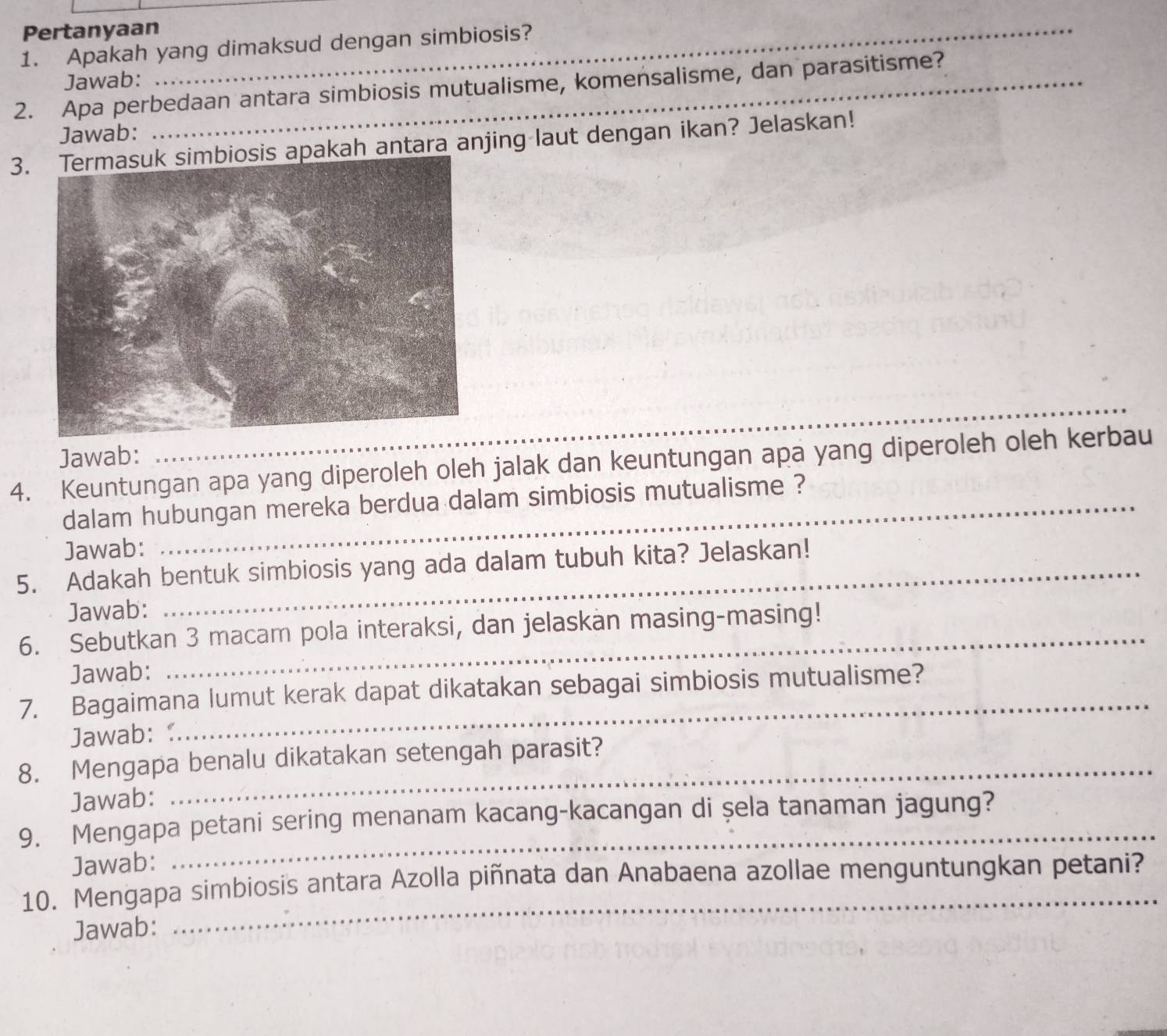 Pertanyaan 
1. Apakah yang dimaksud dengan simbiosis? 
Jawab: 
2. Apa perbedaan antara simbiosis mutualisme, komensalisme, dan parasitisme? 
Jawab: 
3 apakah antara anjing laut dengan ikan? Jelaskan! 
_ 
Jawab: 
4. Keuntungan apa yang diperoleh oleh jalak dan keuntungan apa yang diperoleh oleh kerbau 
dalam hubungan mereka berdua dalam simbiosis mutualisme ? 
Jawab: 
5. Adakah bentuk simbiosis yang ada dalam tubuh kita? Jelaskan! 
Jawab: 
6. Sebutkan 3 macam pola interaksi, dan jelaskan masing-masing! 
Jawab: 
7. Bagaimana lumut kerak dapat dikatakan sebagai simbiosis mutualisme? 
Jawab: 
8. Mengapa benalu dikatakan setengah parasit? 
Jawab: 
9. Mengapa petani sering menanam kacang-kacangan di şela tanaman jagung? 
Jawab: 
_ 
_ 
10. Mengapa simbiosis antara Azolla piñnata dan Anabaena azollae menguntungkan petani? 
Jawab: