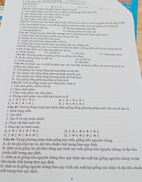 '''Ao l ọ
4. Cho năng suất, chất lượng tốt ở tắt cà các vùng sinh tai
bā nhān giǎng Sơn
A. 1, 2, 3, 4. Đấp ản đùng là
V L. S  Câu 36: Chất lượng của giống lủa lai thơm 6 là gi? B. 2, 3, 4 C. 1, 2. 3. D.
σ
A. Cơm trắng bóng, com đèo, đai, vị đậm và có hương thơm mùi cốm
B. Gạo trắng trong, cơm mêm, thơm, vị đậm
C. Gạo trắng trong, com mềm và đậm
D. Gạo trong, cơm mềm và đậm
Cầu 37: Sử dụng các tác nhân vật lý hoặc chất hóa học đề xứ li các bộ phận của cây gây ra đột
biển, chọn những đòng có lợi để làm giống là phương pháp chọn tạo giống cây trồng gi?
C. Phương pháp lại. A. Phương pháp chọn lọc. D. Phương pháp nuôi cấy mô B. Phương pháp gây đột biển.
Cầu 38: Thành tựu nào đưới đây không phải là ứng dụng của công nghệ gene
A. Giống ngô chuyển gen có khả năng kháng sâu hại
B. Giống táo mã hồng đột biển gene.
C. Giống lủa giàu hàm lượng tiến VTM A.
D. Giống đậu tương chuyển gen cho năng suất cao, kháng sâu
Cầu 39: Giống được tạo ra có tính di truyền ổn định và đồng nhất, thể hệ con giống thể hệ
A. thuần chủng. trước là đặc điểm có ở phương pháp tạo giống B. ưu thể lai.
Câu 40: Phương pháp lại giống sẽ tạo ra giống cây trồng C. đột biển. D. công nghệ gene.
A. thuần chủng hoặc ưu thể lai.
C. thuần chúng D. đột biển. B. ưu thể lại
giồng cây trồng nào?  Câu 41: Kĩ thuật cao và thiết bị phức tạp, cho biết đây là nhược điểm của phương pháp tạo
A. Tạo giống cây trồng bằng phương pháp đa bội thể.
B. Tạo giống cây trồng bằng phương pháp chuyền gen.
C. Tạo giống cây trồng bằng phương pháp đột biển gen.
D. Tạo giống bằng phương pháp lai hữu tính.
Câu 42: Thứ tự đúng trong quy trình giâm cảnh là
1. Cắt cảnh giâm, cắt bỏ bớt lá.
2. Chọn cành giâm.
3. Cẩm cảnh giâm vào nền giâm.
4. Nhúng cảnh giâm vào chất kích thích ra rễ.
A. 1to 2to 3to 4. B. 2to 1to 4to 3.
C. 4to 2to 3to 1. D. 1to 4to 3to 2.
Câu 43: Thứ tự đúng trong quy trình nhân giống bằng phương pháp nuôi cấy mô tế bảo là
1. Khử trùng mẫu.
2. Tạo chồi.
3. Tạo rễ và cây hoàn chỉnh.
4. Chọn vật liệu nuôi cấy.
5. Đưa cây ra vườn ươm.
A. 4to 1to 2to 3to 5. B. 2to 1to 4to 3to 5.
C. 3to 2to 1to 4to 5. D, 1to 4to 3to 2to 5.
Câu 44: Trong phương pháp nhân giống hữu tính, giống siêu nguyên chủng
A. do tác giả chọn tạo ra, đạt tiêu chuẩn chất lượng theo quy định.
B. nhân ra từ giống tác giả theo đúng quy trình sản xuất giống siêu nguyên chủng và đạt tiêu
chuẩn chất lượng quy định.
C. nhân ra từ giống siêu nguyên chủng theo quy trình sản xuất hạt giống nguyên chủng và đạt
tiêu chuẩn chất lượng theo quy định.
D. nhân ra từ giống nguyên chủng theo quy trình sản xuất hạt giống xác nhận và đạt tiêu chuẩn
chất lượng theo quy định.
4