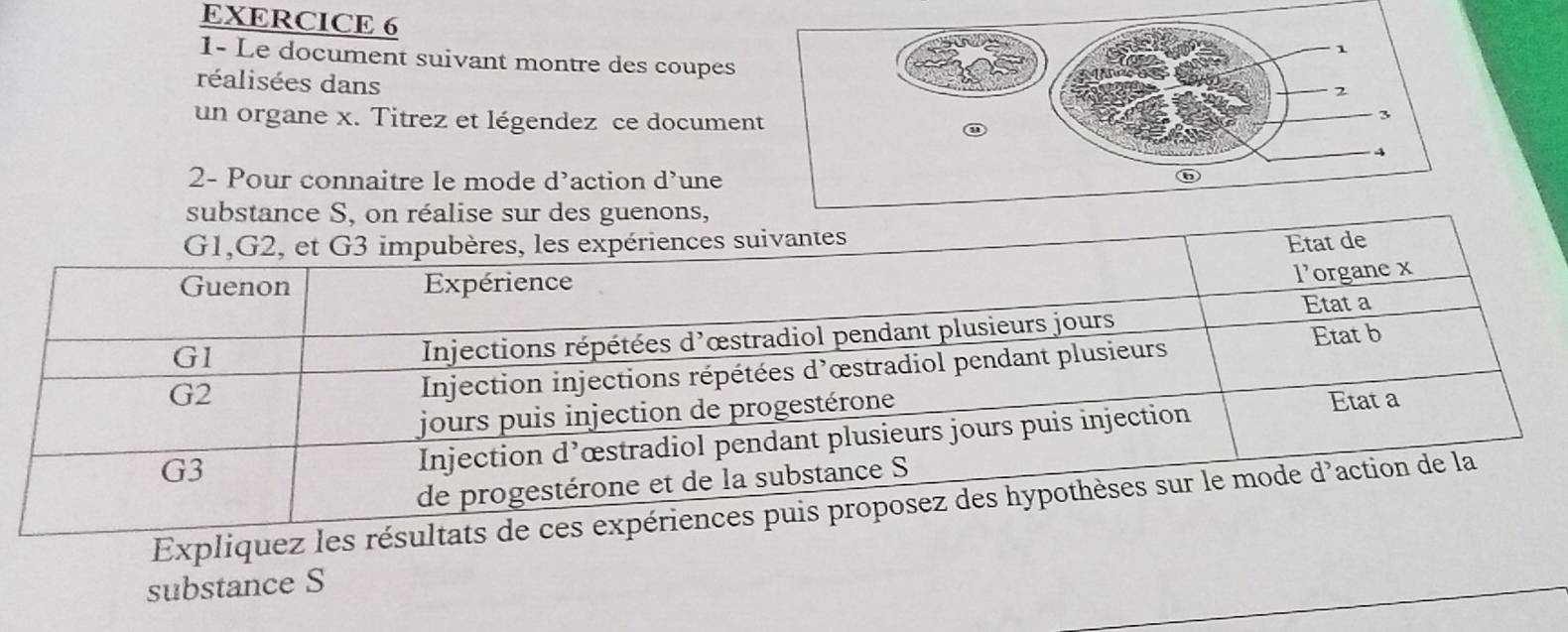 1- Le document suivant montre des coupes 
réalisées dans 
un organe x. Titrez et légendez ce docume 
2- Pour connaitre le mode d’action d’une 
substance S, on réalise sur des guenons, 
Expliquez les rés 
substance S