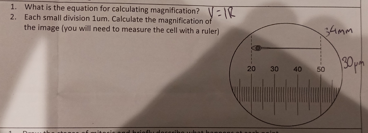 What is the equation for calculating magnification? 
2. Each small division 1um. Calculate the magnification of 
the image (you will need to measure the cell with a ruler)
20 30 40 50