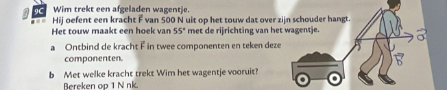 IC Wim trekt een afgeladen wagentje. 
Hij oefent een kracht F van 500 N uit op het touw dat over z 
Het touw maakt een hoek van 55° met de rijrichting van he 
a Ontbind de kracht overline E in twee componenten en teken deze 
componenten. 
b Met welke kracht trekt Wim het wagentje vooruit? 
Bereken op 1 N nk.