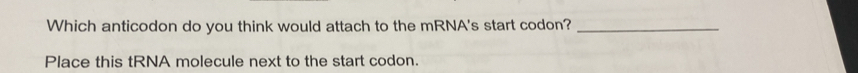Solved: Which anticodon do you think would attach to the mRNA's start ...