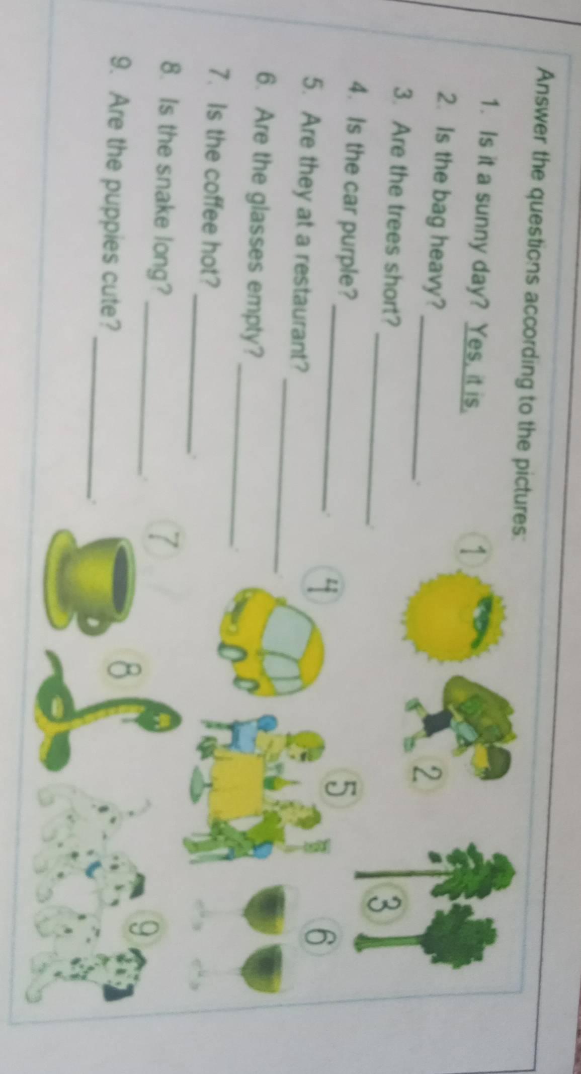 Answer the questions according to the pictures: 
1. Is it a sunny day? Yes, it is. 
1 
2. Is the bag heavy?_ 
,. 
2 
_ 
3. Are the trees short? 
. 
3 
_ 
4.Is the car purple? 
. 
4 
5 
_ 
5. Are they at a restaurant? 
6 
_ 
6. Are the glasses empty? 
_ 
7. Is the coffee hot? 
. 
8. Is the snake long? _7 
. 
_ 
9. Are the puppies cute? 
8 
9 
.