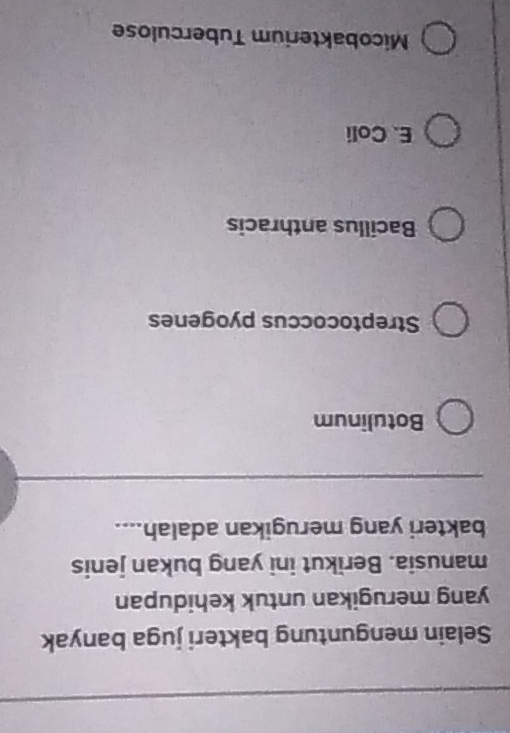Selain menguntung bakteri juga banyak
yang merugikan untuk kehidupan
manusia. Berikut ini yang bukan jenis
bakteri yang merugikan adalah....
Botulinum
Streptococcus pyogenes
Bacillus anthracis
E. Coli
Micobakterium Tuberculose