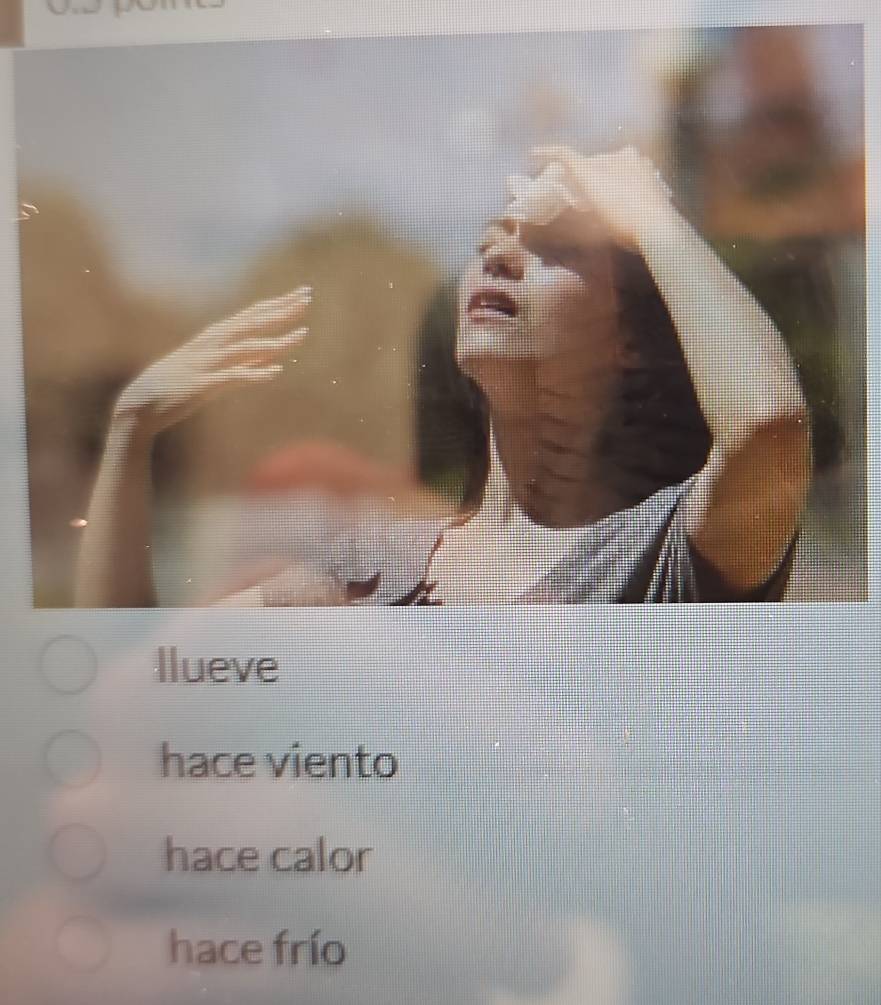 Ilueve 
hace viento 
hace calor 
hace frío