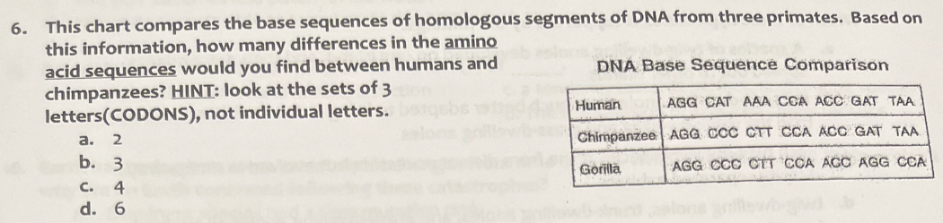 Solved: This chart compares the base sequences of homologous segments ...