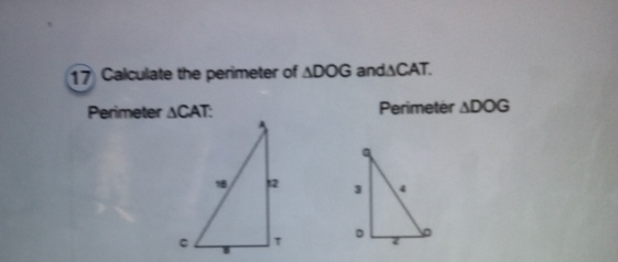 Calculate the perimeter of △ DOG an dsCA
Perimeter △ CAT Perimeter △ DOG