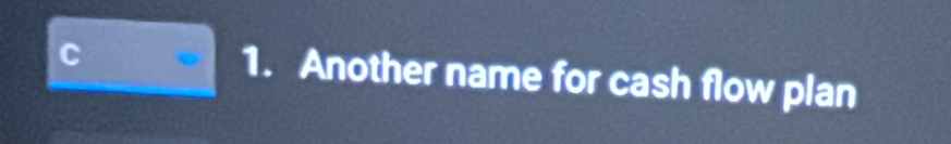 C
1. Another name for cash flow plan