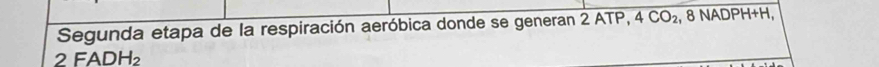 Segunda etapa de la respiración aeróbica donde se generan 2 ATP, 4CO_2 , 8 NADPH+H,
2FADH_2