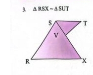 △ RSXsim △ SUT