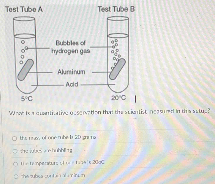 What is a quantitative observation that the scientist measured in this setup?
the mass of one tube is 20 grams
the tubes are bubbling
the temperature of one tube is 20oC
the tubes contain aluminum