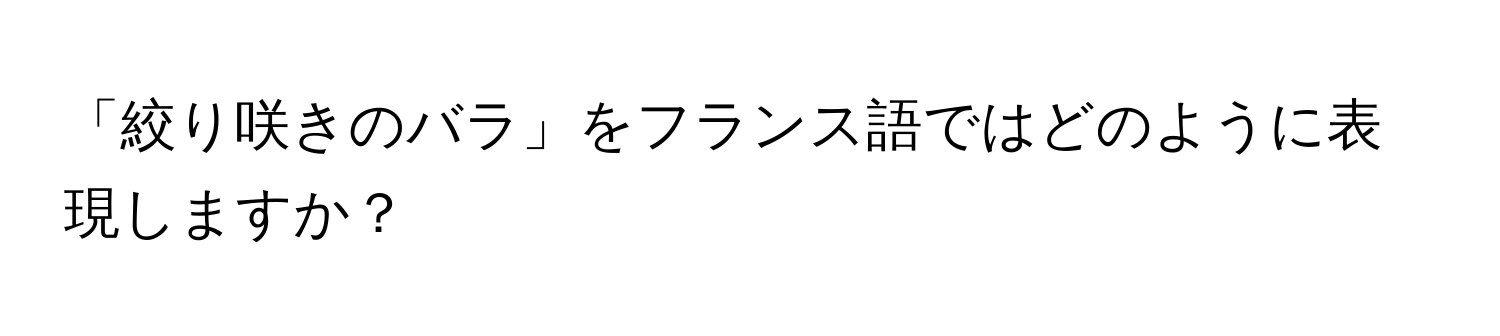 「絞り咲きのバラ」をフランス語ではどのように表現しますか？